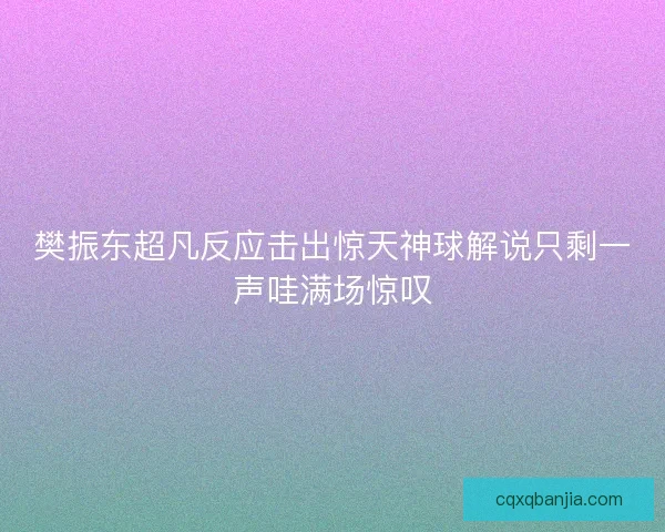 樊振东超凡反应击出惊天神球解说只剩一声哇满场惊叹