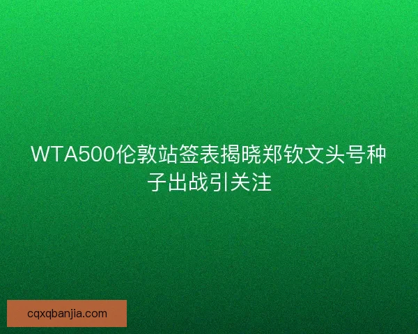 WTA500伦敦站签表揭晓郑钦文头号种子出战引关注