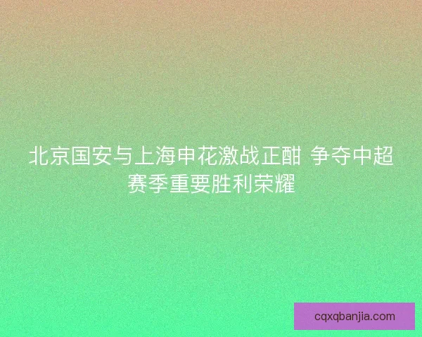 北京国安与上海申花激战正酣 争夺中超赛季重要胜利荣耀 北京国安与上海申花激战正酣 争夺中超赛季重要胜利荣耀
