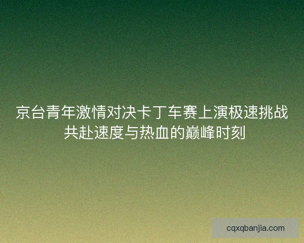 京台青年激情对决卡丁车赛上演极速挑战 共赴速度与热血的巅峰时刻 京台青年激情对决卡丁车赛上演极速挑战 共赴速度与热血的巅峰时刻